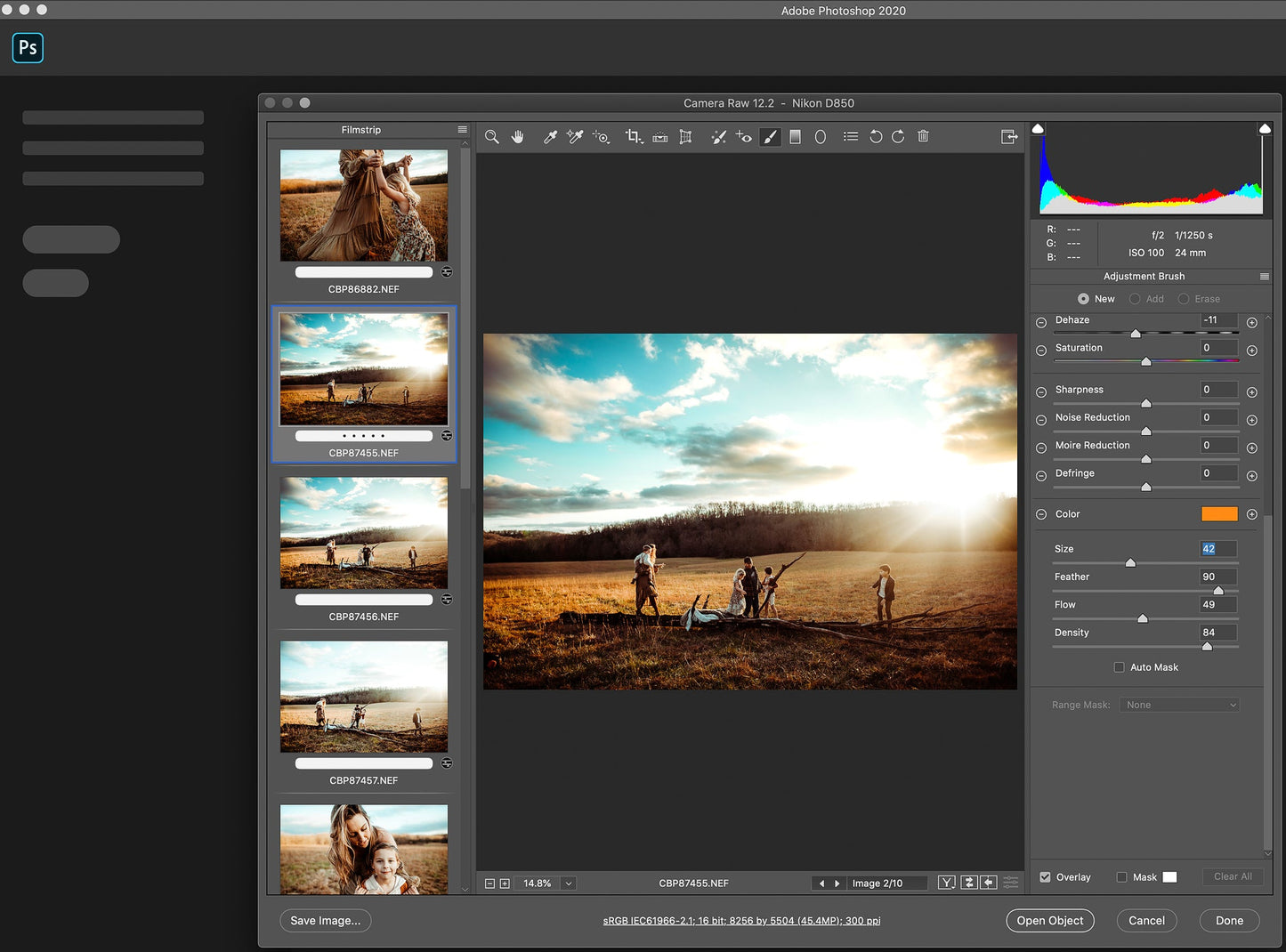 Lr Adjustment Brushes